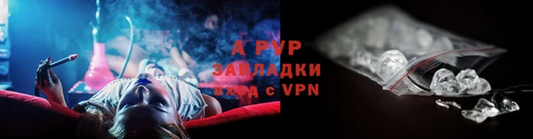 jwh Белокуриха