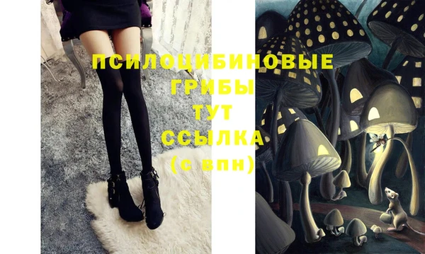 jwh Белокуриха